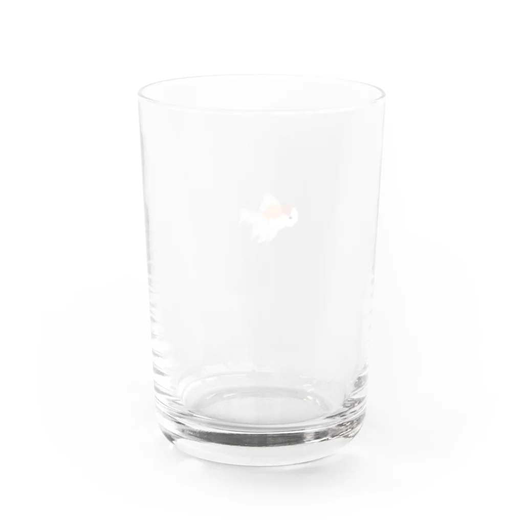 みうらやの桜東錦ちゃん Water Glass :back