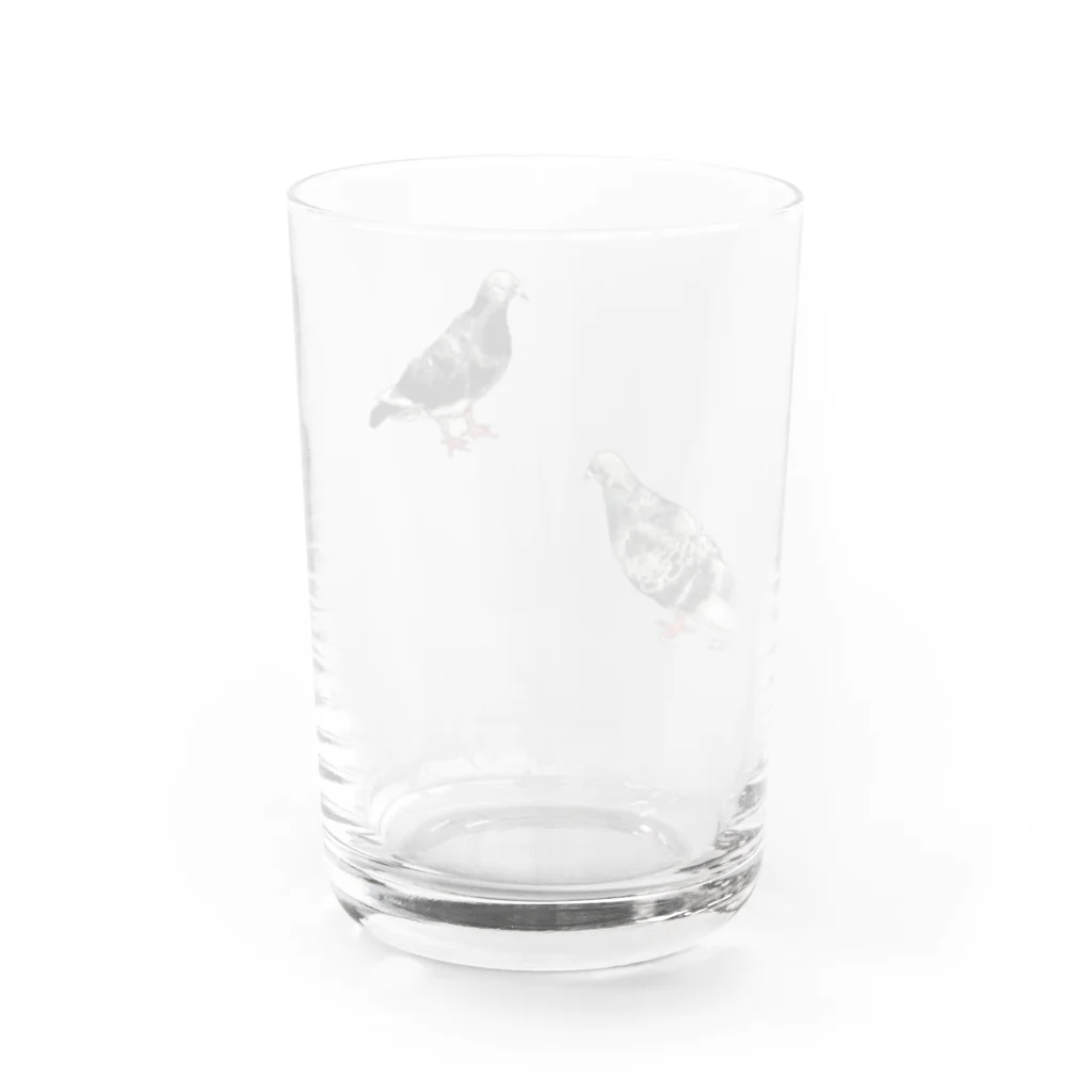 魚の目のお店のハト（スケルトン） Water Glass :back