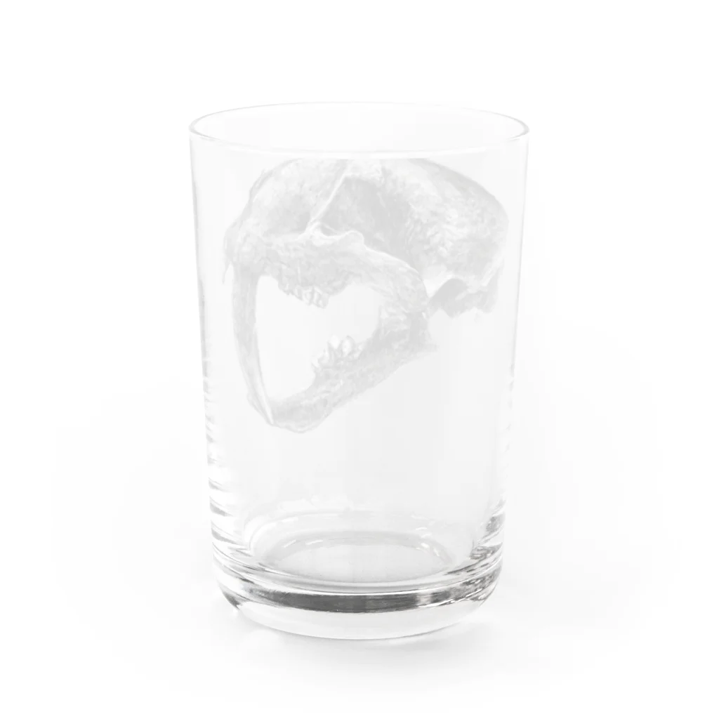 segasworksのスミロドン（頭の骨） Water Glass :back