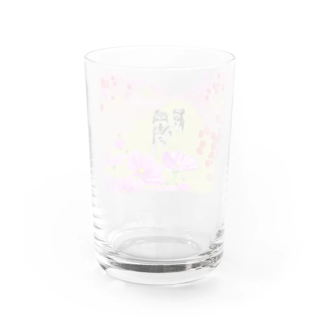 M-SUZURIのコスモスシュナ Water Glass :back