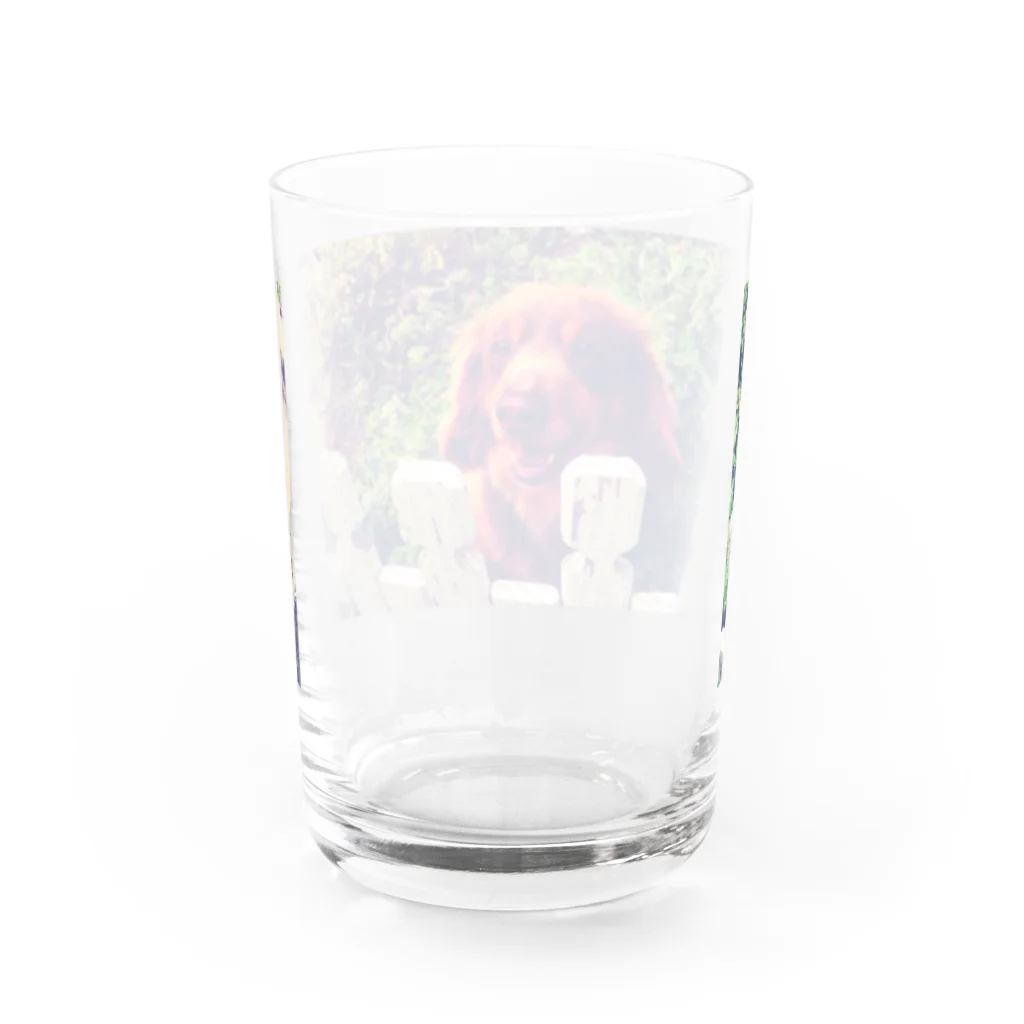 milk chocolateのちょこ Water Glass :back