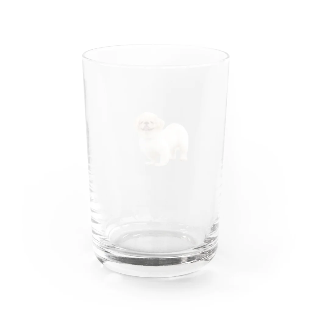 ちゃちゃまる　by来栖うさこのちゃちゃまるグラス Water Glass :back