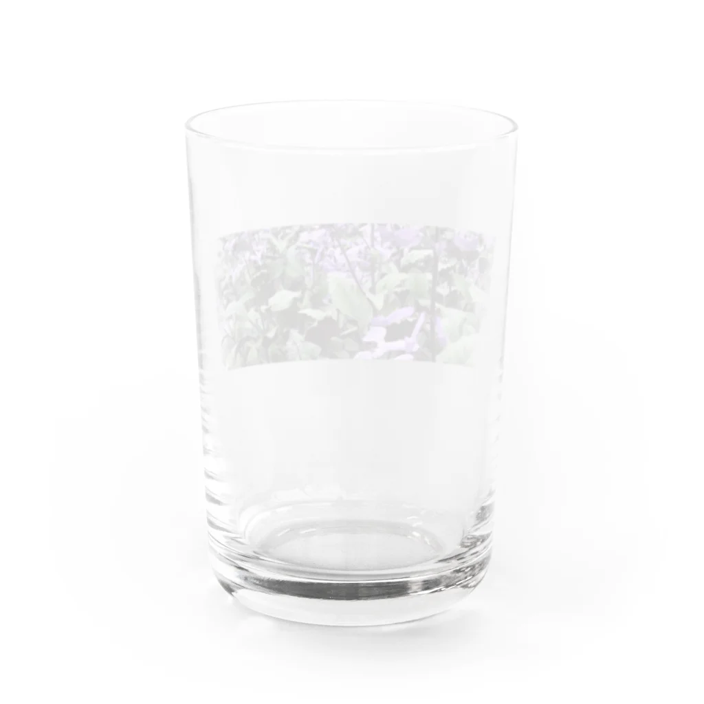 般若のlove&l Water Glass :back