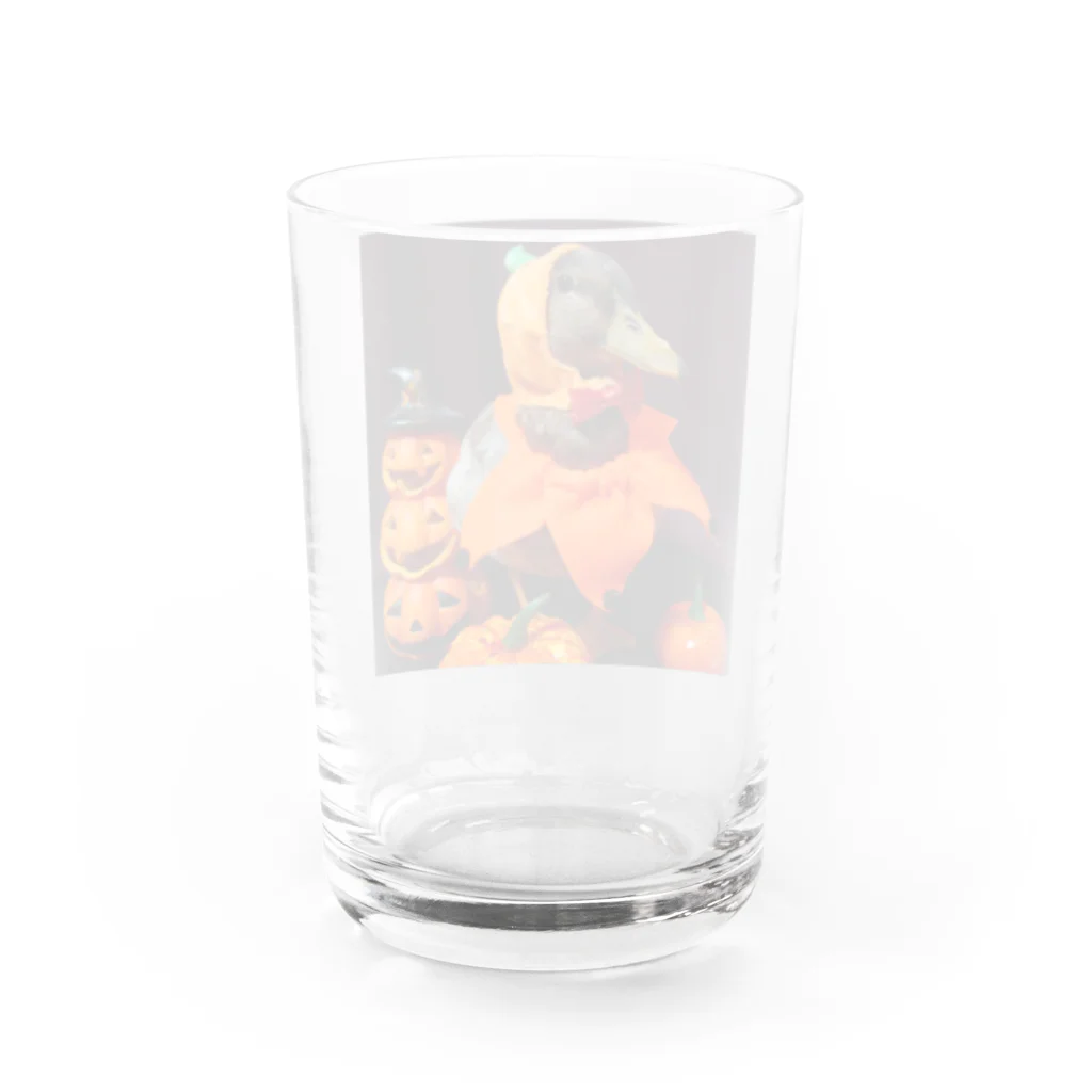 小さいあひる。のハロウィン鈴乃丞 Water Glass :back