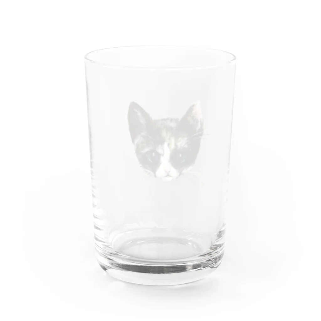 松村有莉の店の三毛猫の幸子(サチコ) グラス反対面
