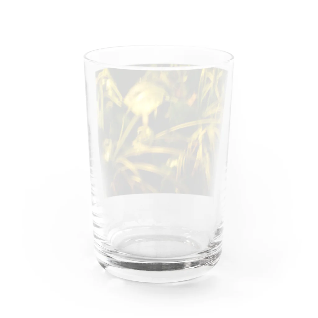 ゆっこの雨上がりの夜 Water Glass :back