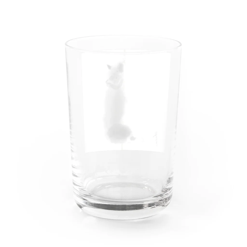 C Nのノルウェージャンフォレストキャット黒猫 Water Glass :back