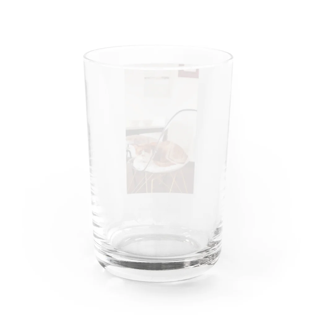 フカツ マリエの猫と家 Water Glass :back