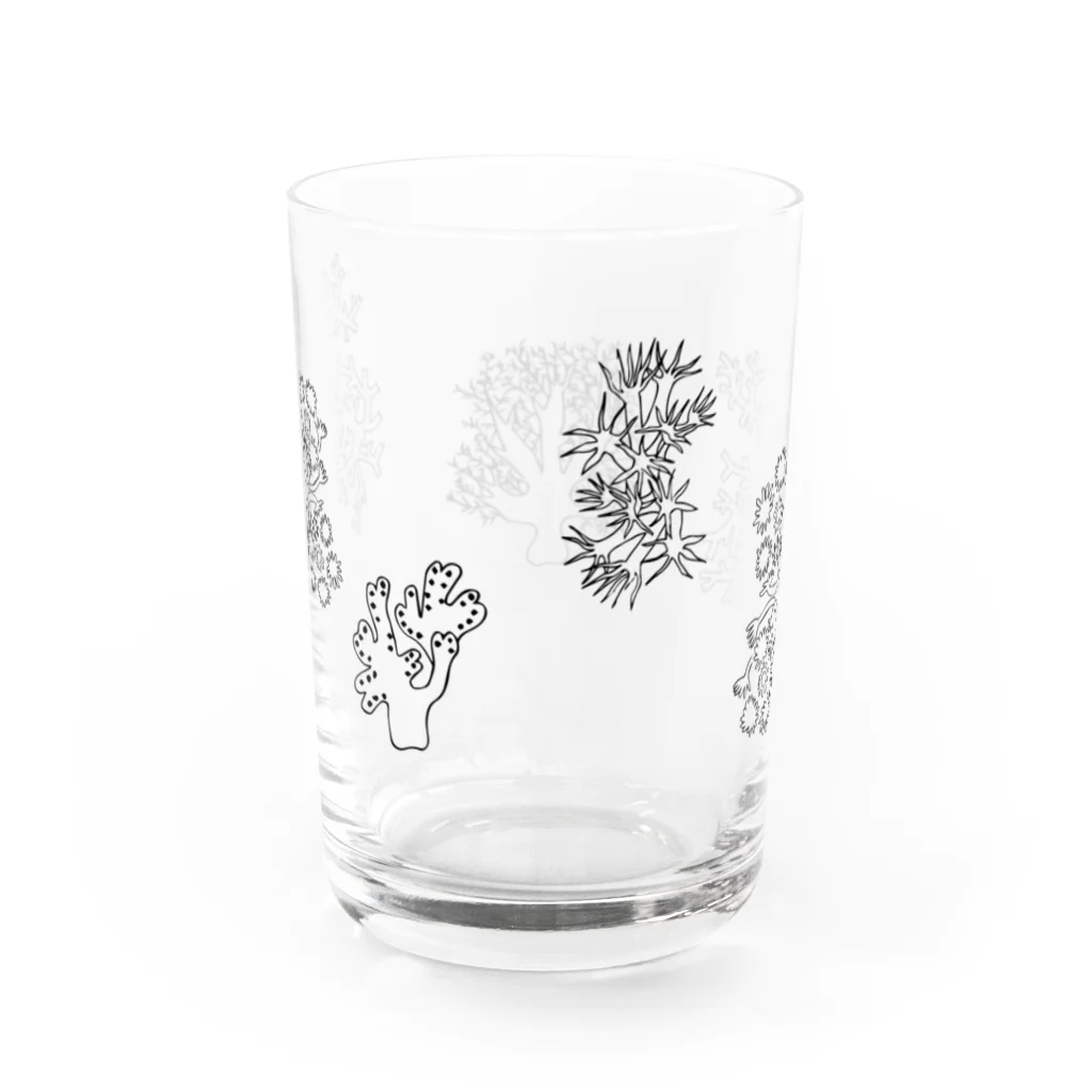 madobeno omiseのNew Sea Water Glass :back