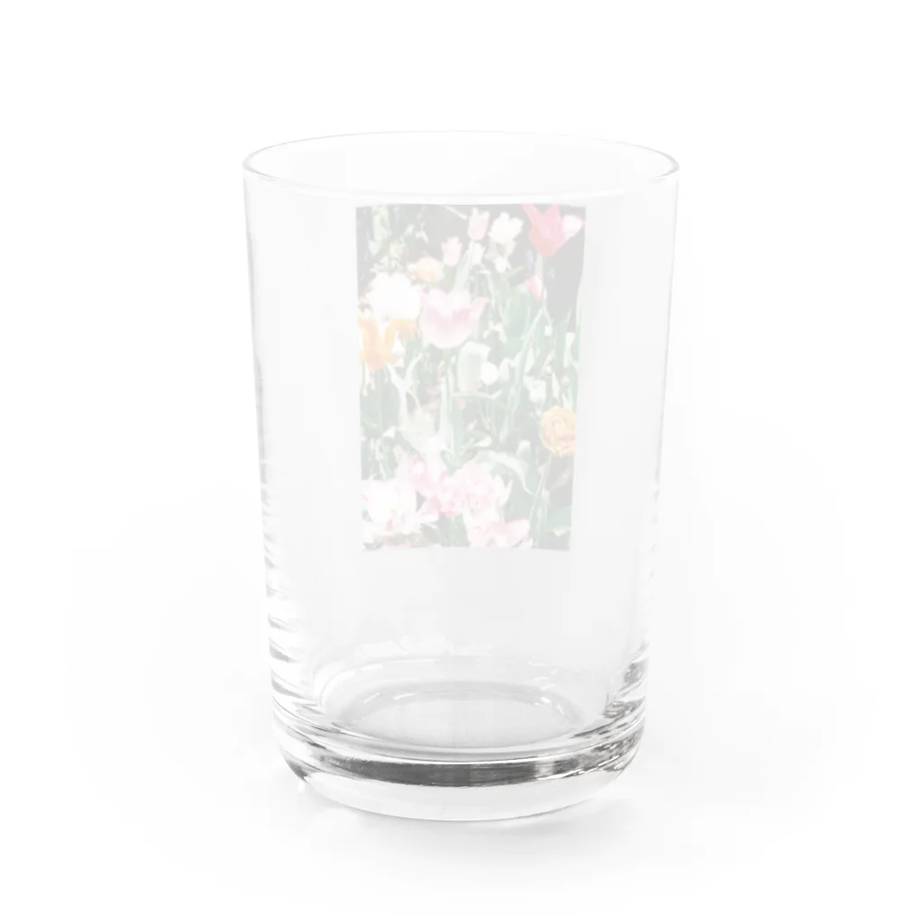 おもろのばあちゃん花畑 Water Glass :back