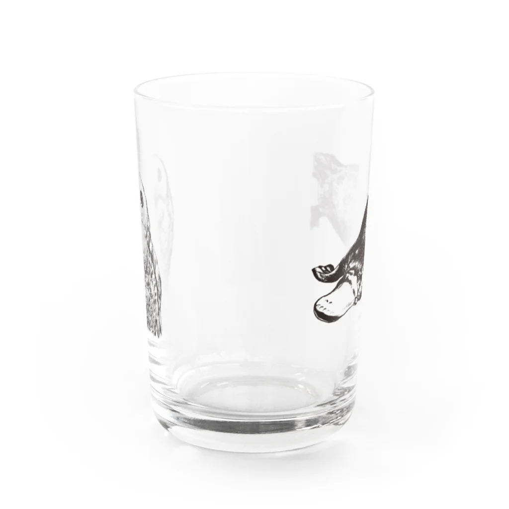 翻車魚ショップの翻車魚-カモノハシ&フクロウ Water Glass :back
