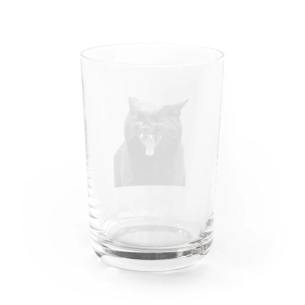 iguana_brosの黒猫がぎゃー Water Glass :back