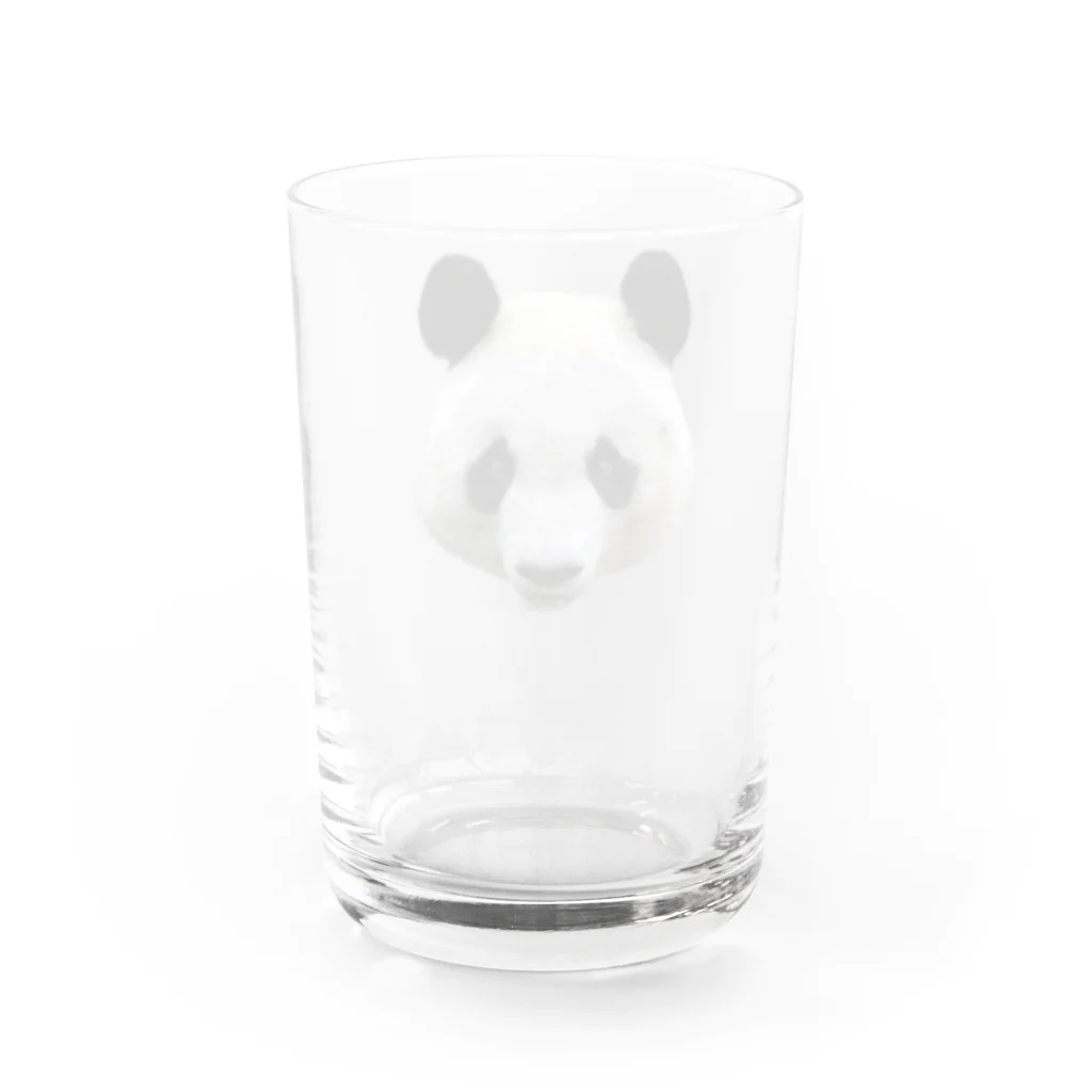 どうぶつ屋のPanda! Water Glass :back