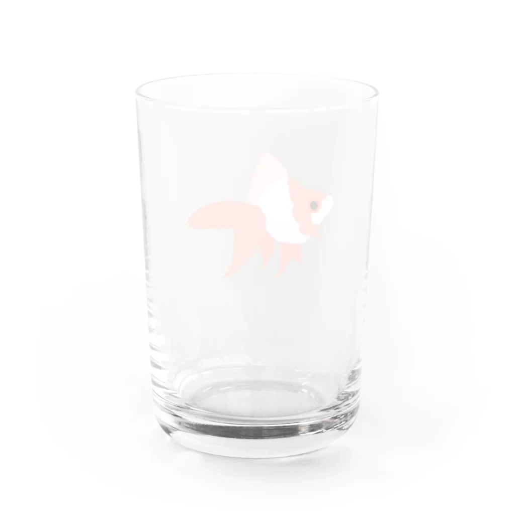 みうらやのりゅーきんちゃん Water Glass :back