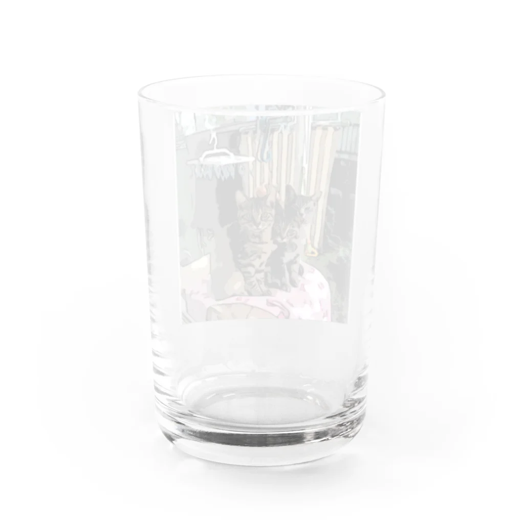 saraのねこ 仲良し3兄弟 Water Glass :back