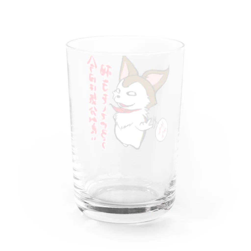 ravwaff(ラヴァッフ)のみたらし[気分が良い] Water Glass :back