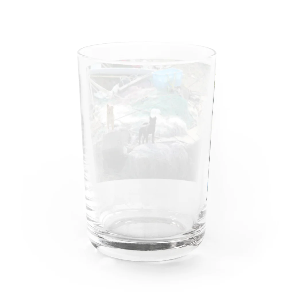 テンテンウツヤツとカゾクの野犬くん Water Glass :back