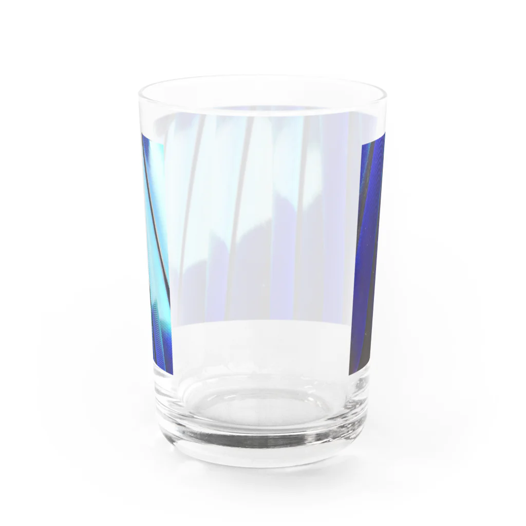 はるさんのブッポウソウの羽 Water Glass :back