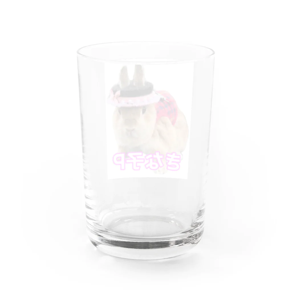 うさぎ３姉妹のきな子P グラス Water Glass :back