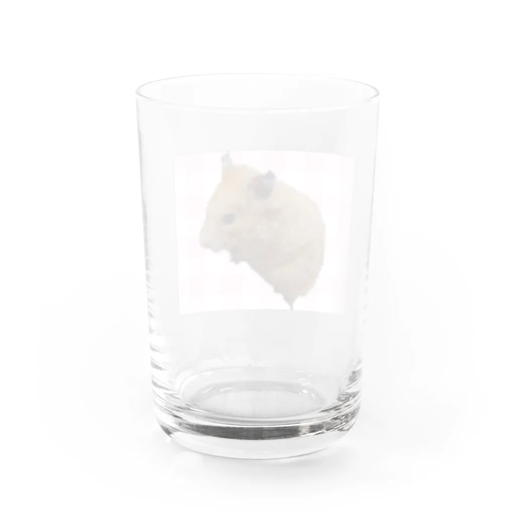 友希（ゆき）のモイちゃん2 Water Glass :back