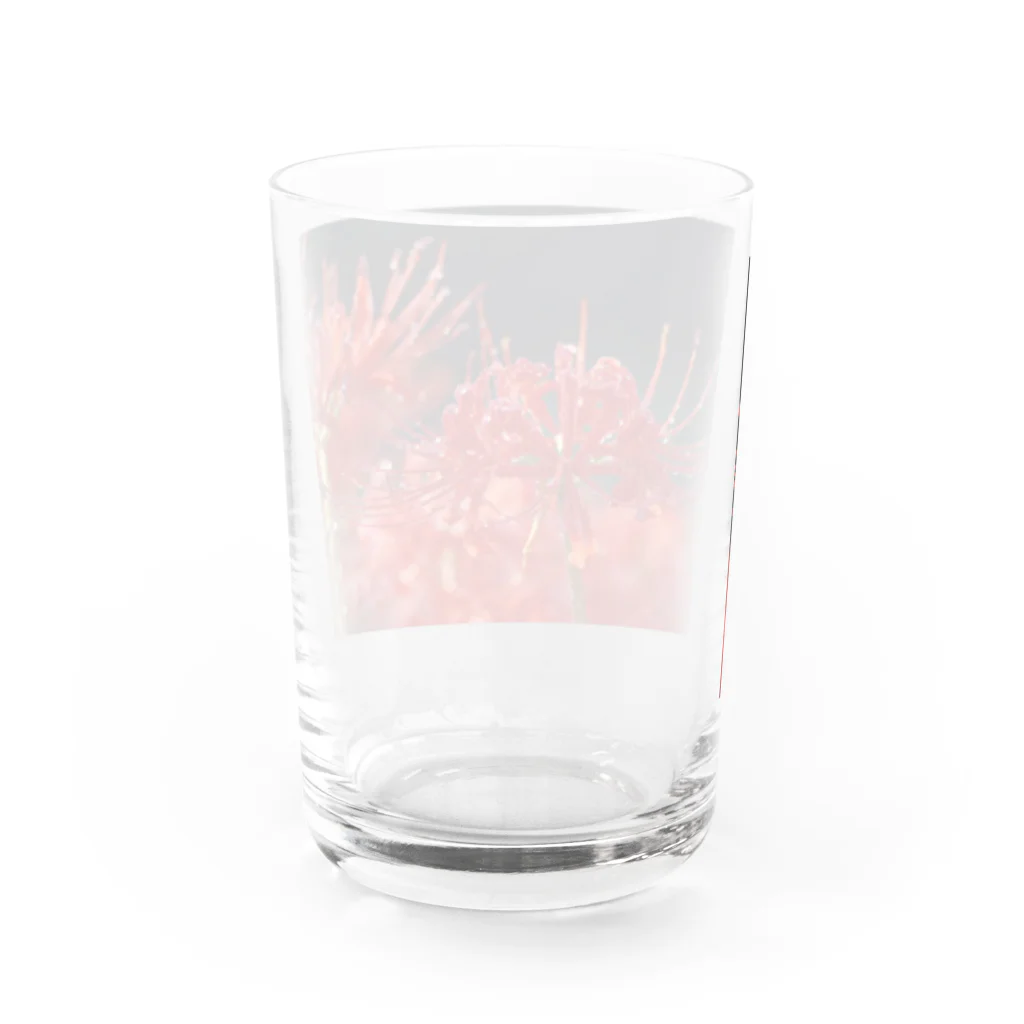 eMu*りおの彼岸花 Water Glass :back