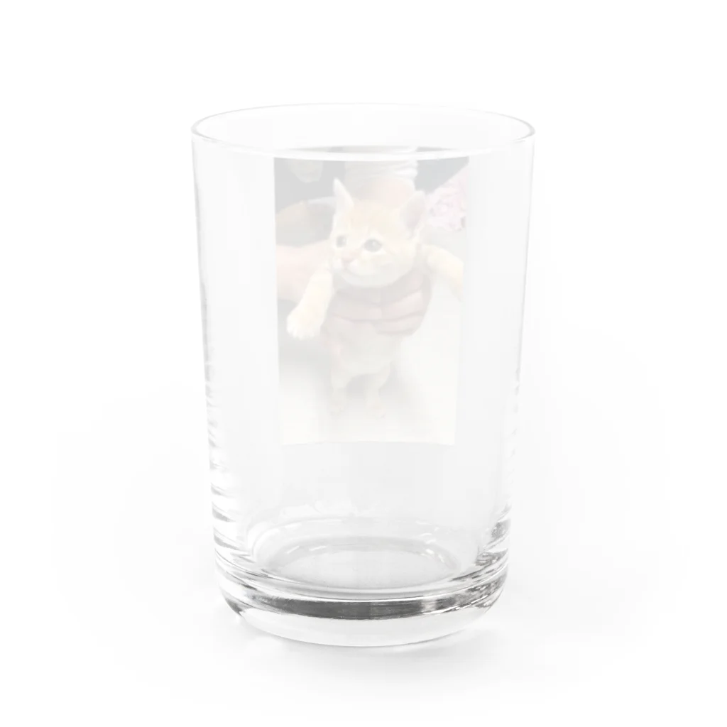 yamamixxxのSoraたん Water Glass :back