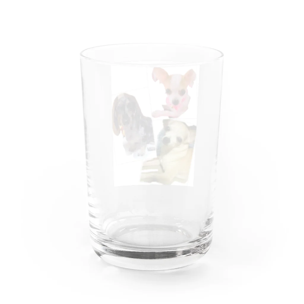 マンマチャオ　大東ショッピングプラザピア店の可愛い愛犬 Water Glass :back