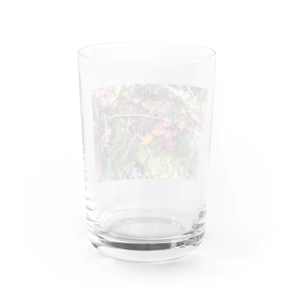 otakeの写真店のもみじ Water Glass :back