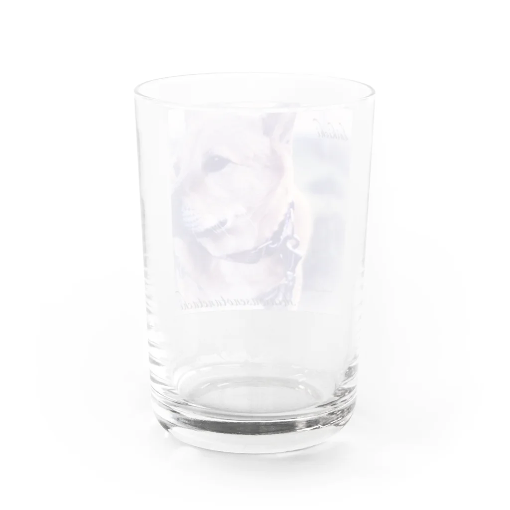 たねたねClub〜認定NPO法人しあわせの種たちの大吉くんグラス♪ Water Glass :back