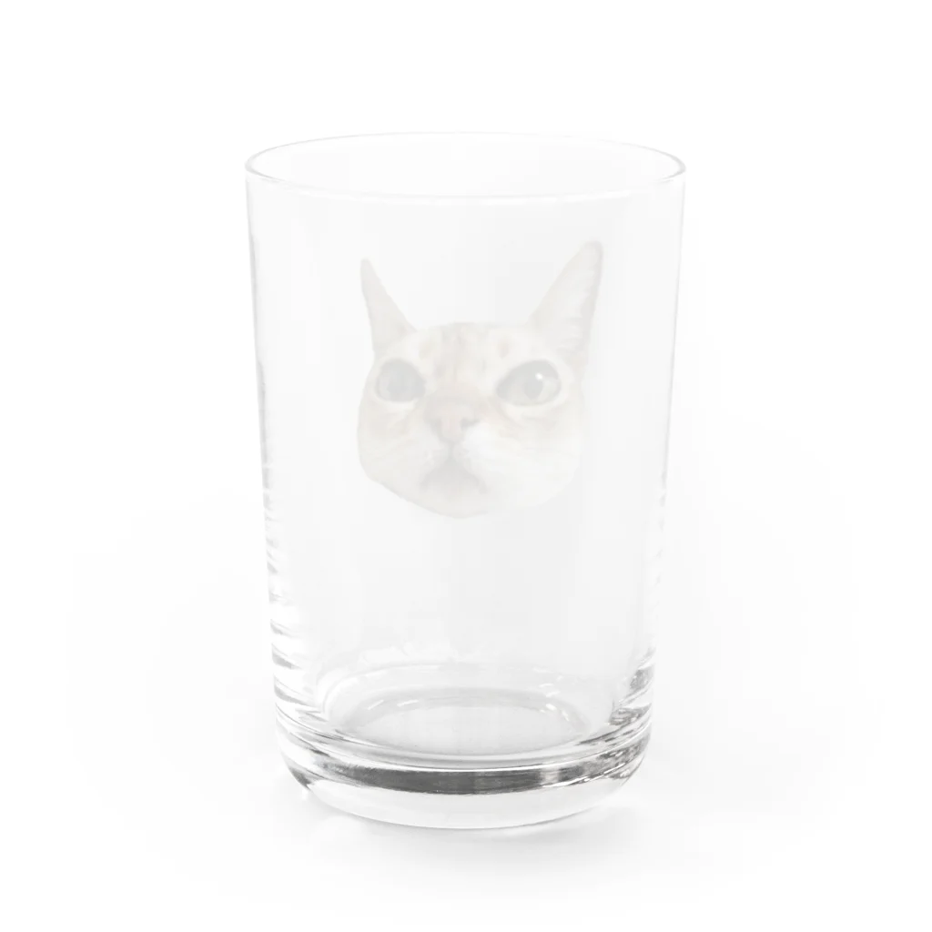 玉林茂二美のおこじょ顔 Water Glass :back