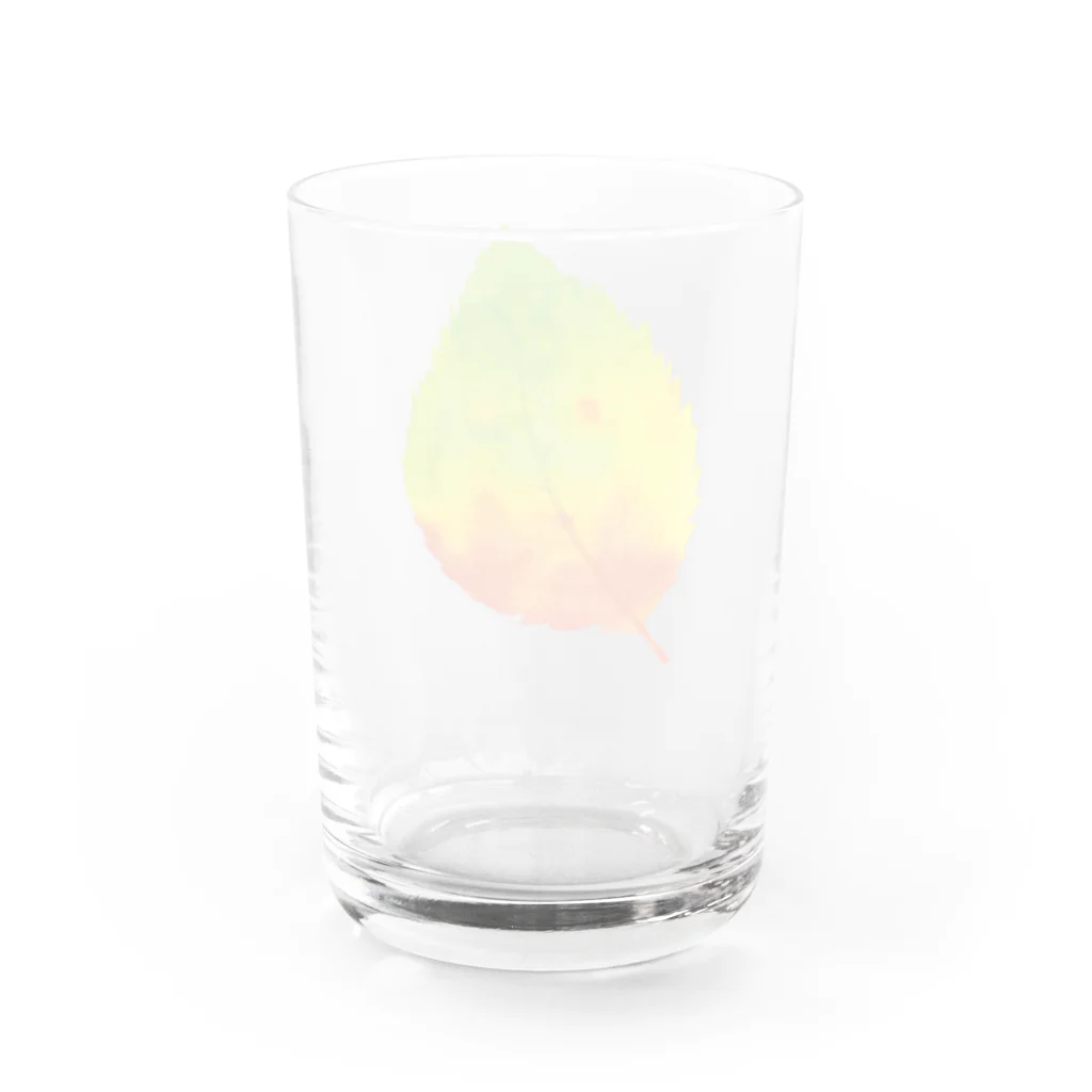 翠々の紅葉 Water Glass :back