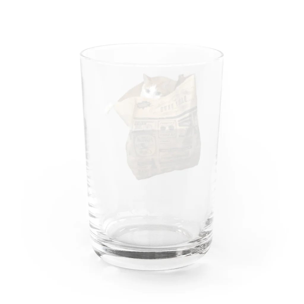 だっくのねこぶくろ Water Glass :back