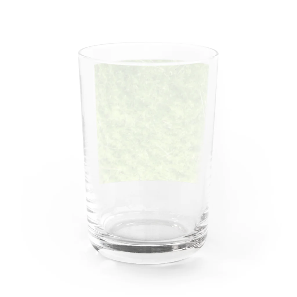 だっくの癒し苔🌿 グラス反対面