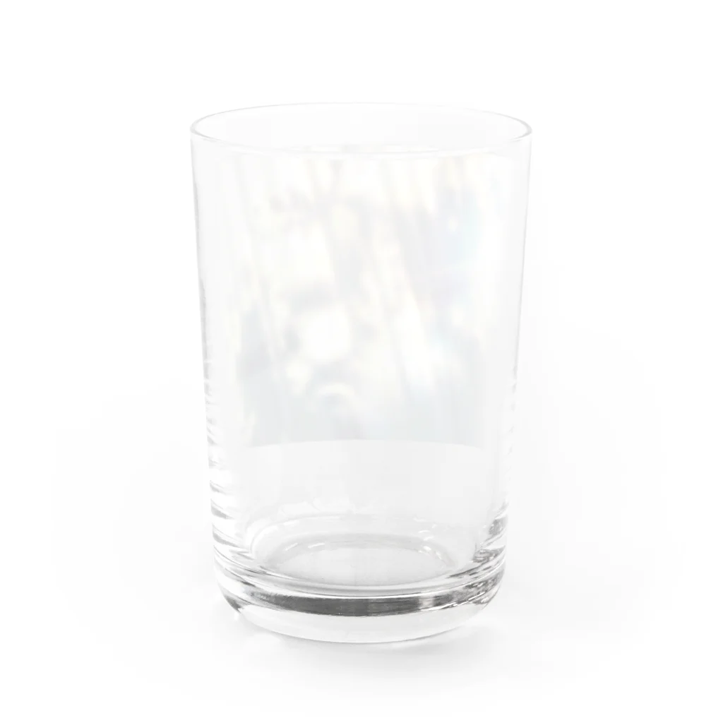 霞空への木漏れ日 Water Glass :back