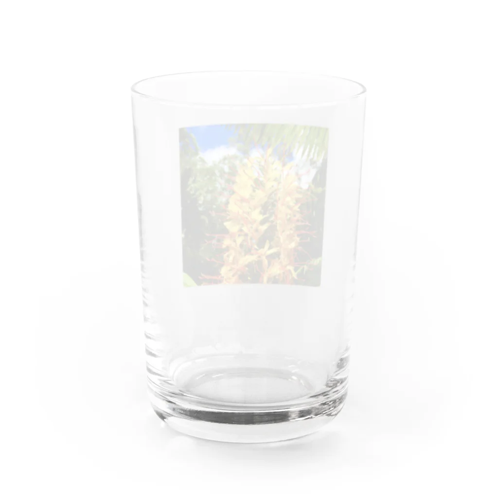 srgmtaroの南国花 Water Glass :back