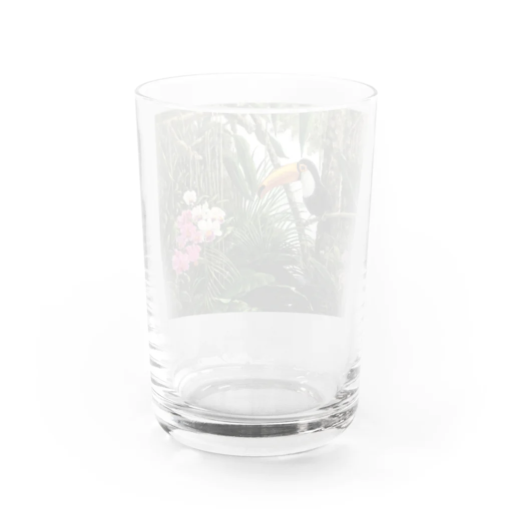 YUKI FUKUDAの楽園　（オニオオハシ×熱帯ジャングル） Water Glass :back