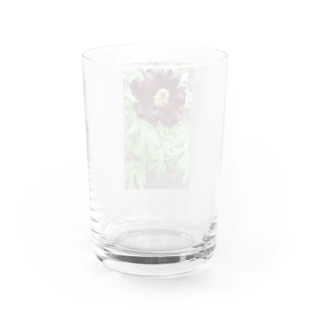 TSJのぱっくぱく Water Glass :back