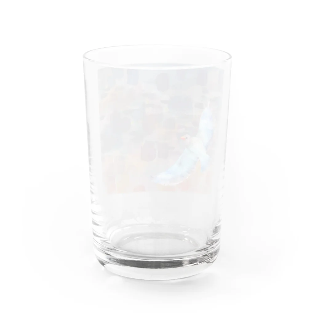 catanorynecoの青い鳥がなくとき -夕焼け- Water Glass :back