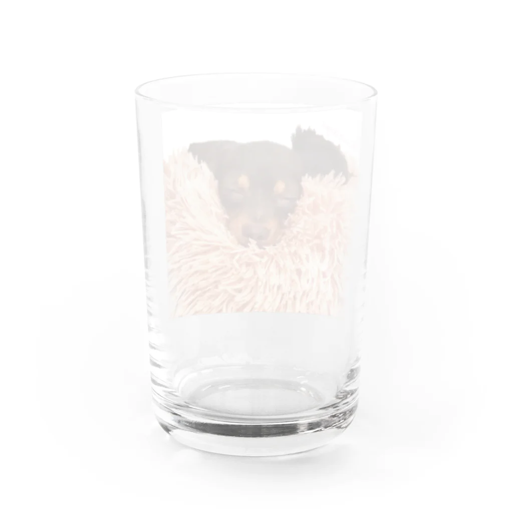lovedogsの#Lovedog (めろver.) Water Glass :back