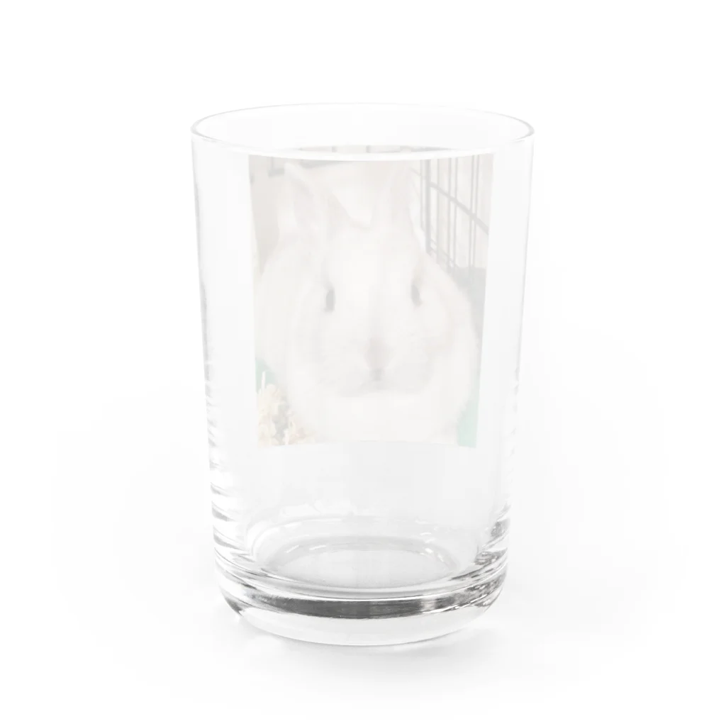 ぷっぷぅのうさぎのぷぷちゃん(男の子) Water Glass :back