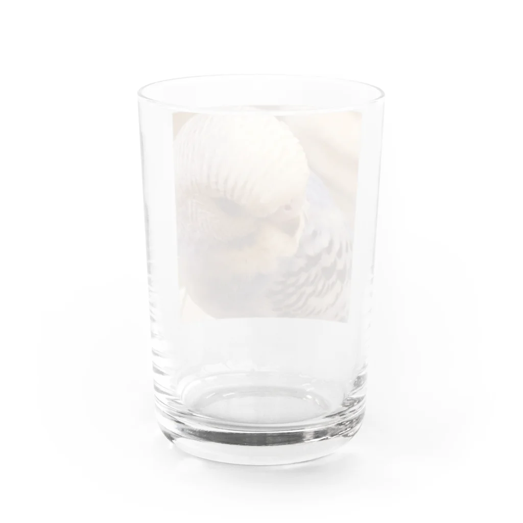 ⭐︎の天使になったパールちゃん Water Glass :back