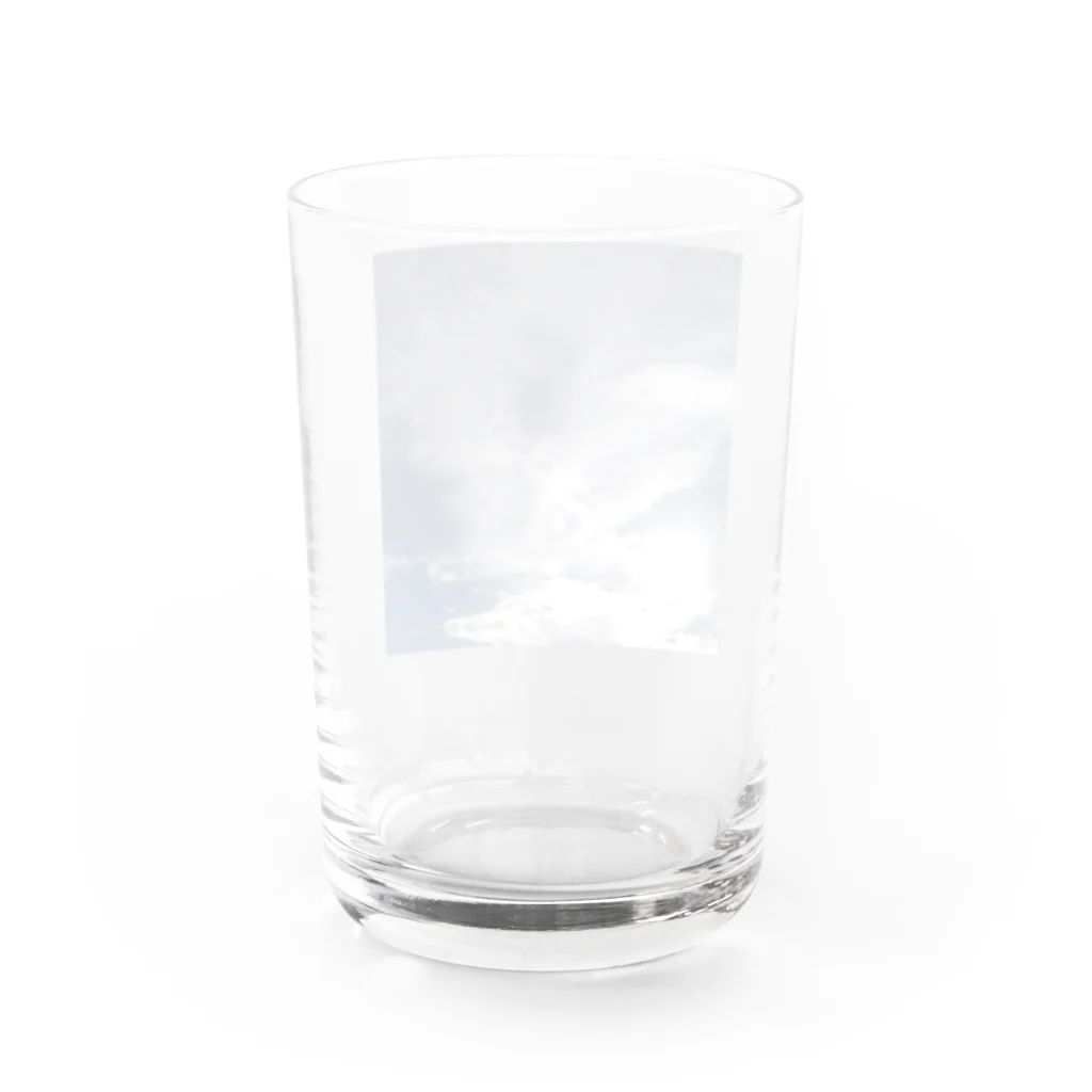 Bonne-bonticcanoのはばたき Water Glass :back