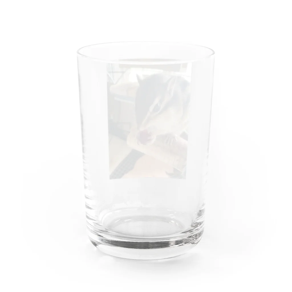 チロ358のシマリスみかん Water Glass :back