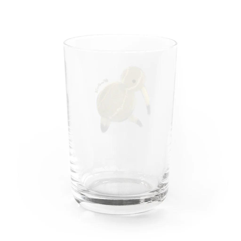 Fondhuのくわいキウイ Water Glass :back