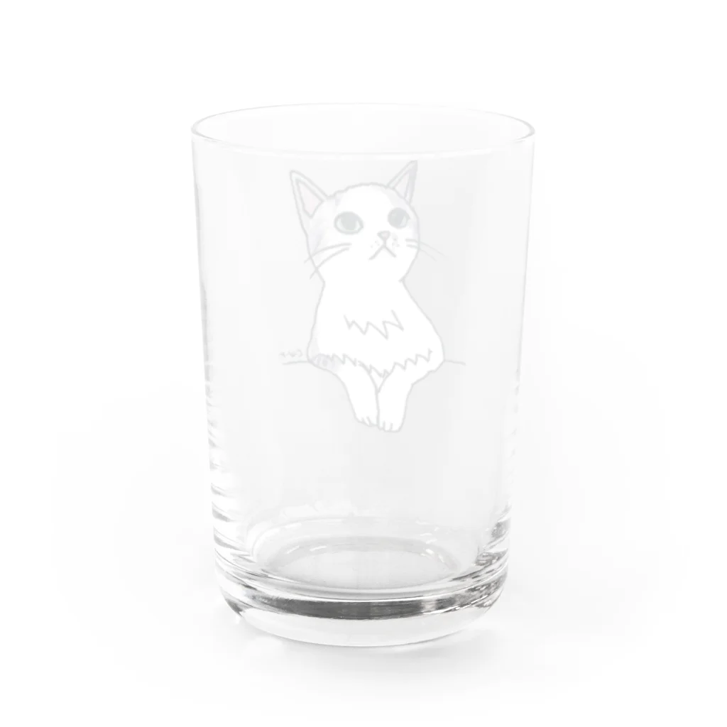 CUROGNACの100nyans029.purucat Water Glass :back