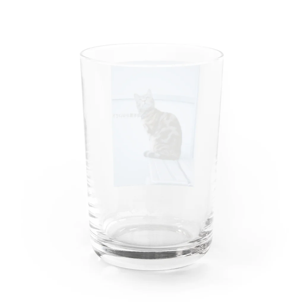 34のキメ顔 Water Glass :back