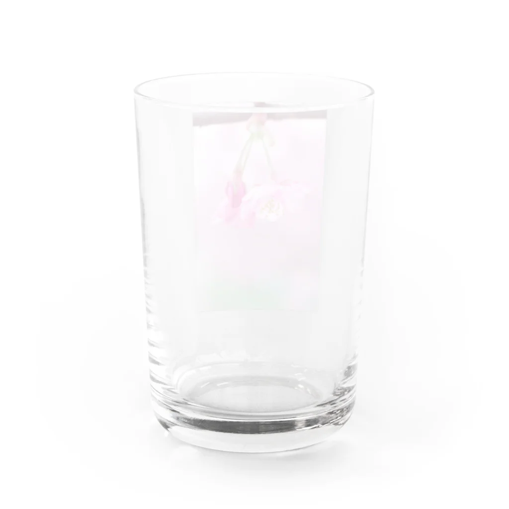 ゆる工房の河津桜 Water Glass :back