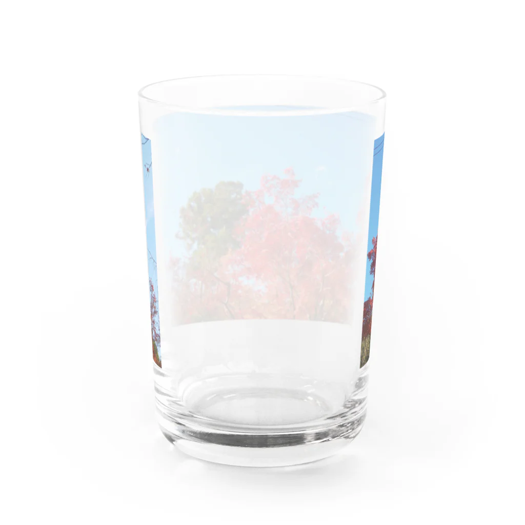 たむっち!の紅葉 Water Glass :back