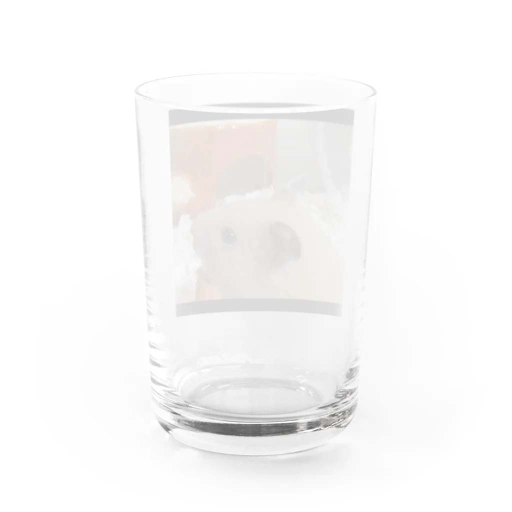 アヤナシトリィSHOPのキンクマハムスター　おつきみ日誌 Water Glass :back