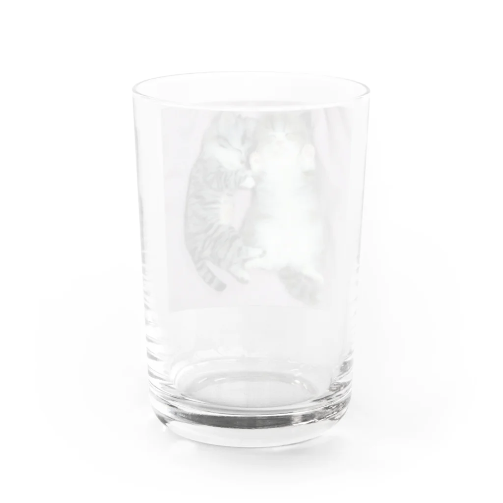 sasaki0318の兄弟で遊び疲れて爆睡中 Water Glass :back